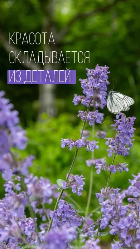 Добавим настроения в этот пасмурный день Добавим настроения в этот пасмурный день