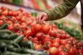 Как выбрать вкусные помидоры вне сезона: советы от шеф-поваров