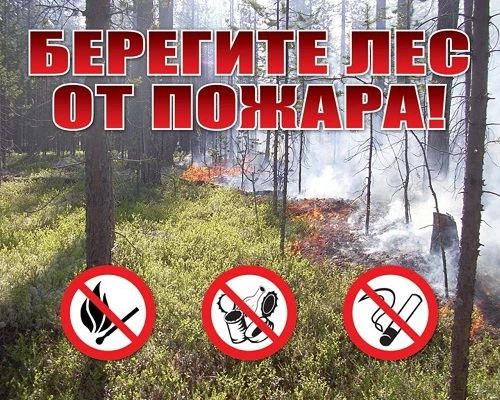 Многие уже пакуют мангалы и палатки