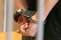 В Сахалинской области задержан подозреваемый по делу о гибели двух женщин в результате наезда вездехода