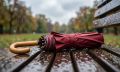 Дождь, тепло и чистый воздух: прогноз погоды в Южно-Сахалинске на 19 июля