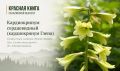 На Сахалине началось цветение одного из самых редких растений России