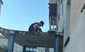 Два голубя прилипли к растаявшему битуму в Поронайске