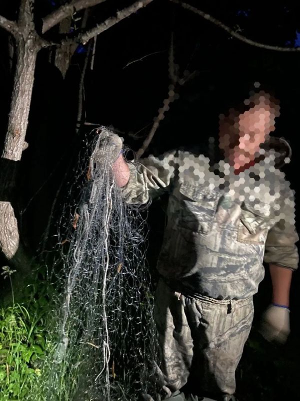 Штрафов на полмиллиона рублей выписали за неделю рыбинспекторы на территории области Штрафов на полмиллиона рублей выписали за неделю рыбинспекторы на территории области