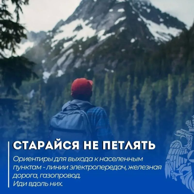 Что делать, если потерялся в лесу Что делать, если потерялся в лесу