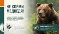 Медведь не просит угощений!