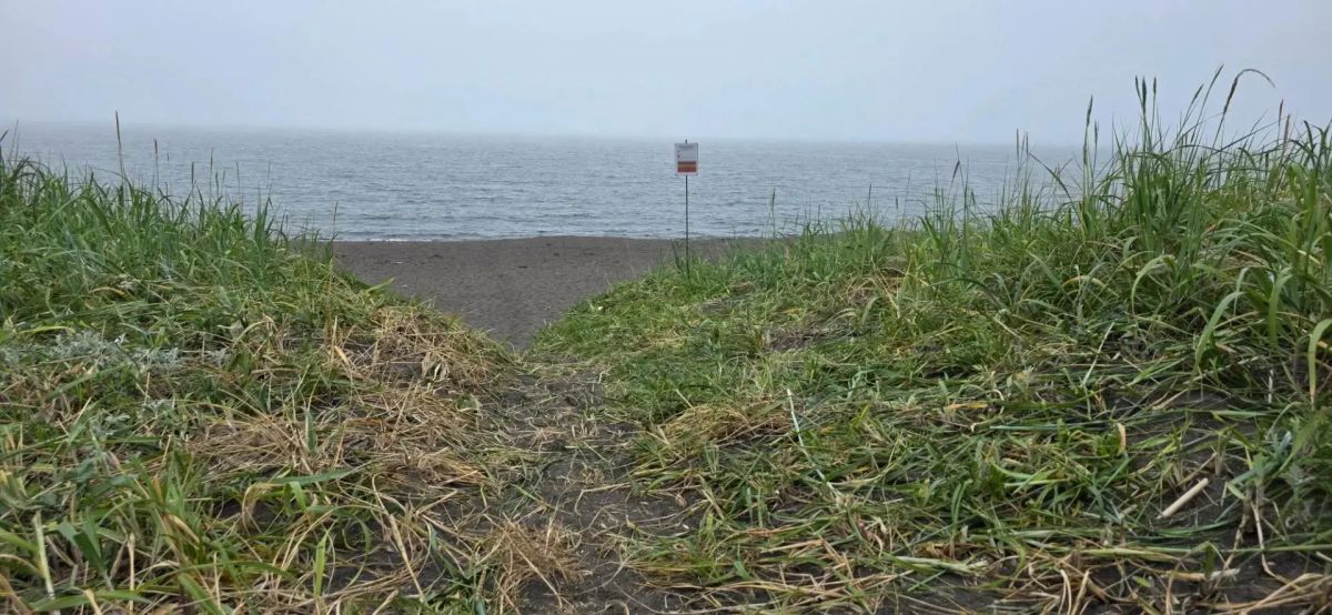 В Курильске привели в порядок стихийную тропинку к морю В Курильске привели в порядок стихийную тропинку к морю