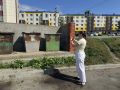 Цифровой мониторинг контейнерных площадок: как работают волонтёры в Томари