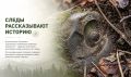 Следы рассказывают историю