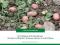 Уже месяц продукция местных сельхозпроизводителей радует жителей региона — ассортимент на прилавках становится всё богаче