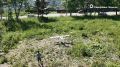 Впервые в Сахалинской области беспилотник выполнил доставку медицинских грузов