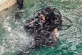 Спасатели-водолазы МЧС России подтвердили свою квалификацию