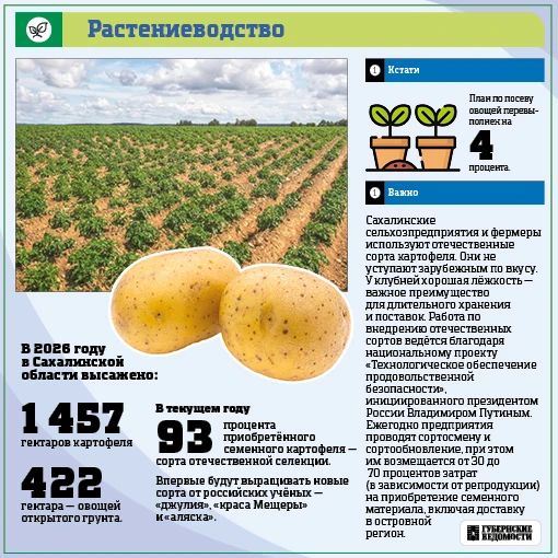 Сахалин кормит себя. Несмотря на сложный климат, аграрии региона выращивают всё больше своих продуктов Сахалин кормит себя. Несмотря на сложный климат, аграрии региона выращивают всё больше своих продуктов
