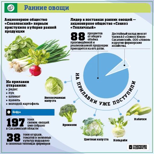 Сахалин кормит себя. Несмотря на сложный климат, аграрии региона выращивают всё больше своих продуктов Сахалин кормит себя. Несмотря на сложный климат, аграрии региона выращивают всё больше своих продуктов