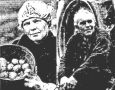 Первые урожаи, строительство собора и молодёжь: о чем писали «Губернские ведомости» в июле 2002 года