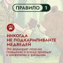 На Дальнем Востоке бурый медведь – хозяин территорий