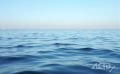������� ������� � ����� �� �������� - ������������ �������� ������������� � �� ������� ������