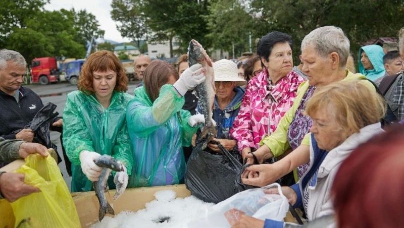 Камбала за 102 рубля и горбуша по 150: где на Сахалине и Курилах купить доступную рыбу 7 августа
