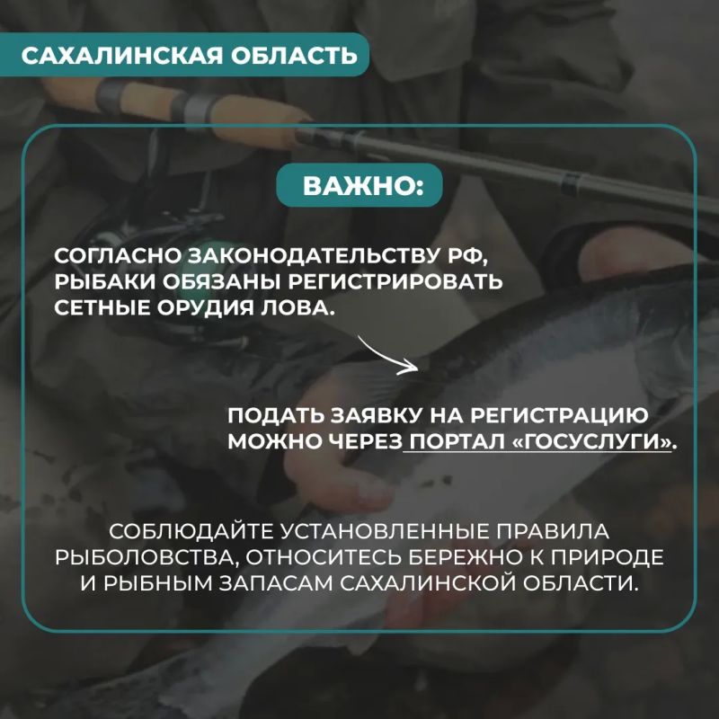 Где и когда ловить горбушу Где и когда ловить горбушу