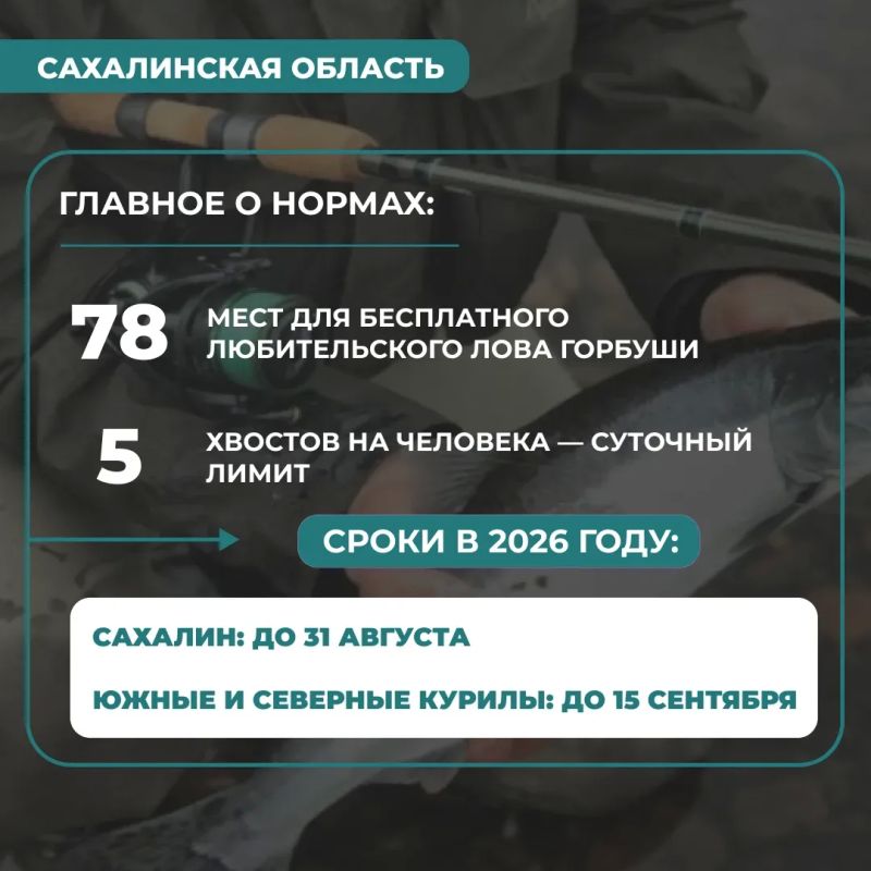 Где и когда ловить горбушу Где и когда ловить горбушу