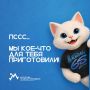 Сегодня День кошек — и мы отмечаем его по-особенному!