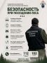 Следственное управление СК России по Сахалинской области предупреждает о необходимости соблюдения требований безопасности при посещении леса