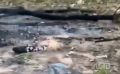 Развели костер и разворошили урну: южносахалинские подростки атаковали детскую площадку