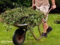 ����� ������� ���������� ������������ �������: ����� �� �����