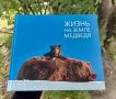 Книжный подарок ко дню рождения библиотеки
