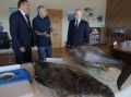Президент РФ Путин попробовал на заводе сахалинскую икру