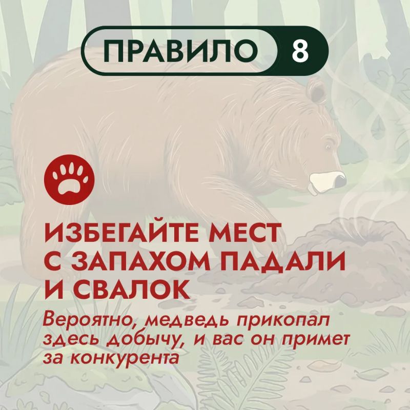Сегодня природа дарит нам ещё один замечательный день, и, наверняка, многие изжителей острова отправятся на природу, чтобы полноценно отдохнуть перед трудовой неделей Сегодня природа дарит нам ещё один замечательный день, и, наверняка, многие изжителей острова отправятся на природу, чтобы полноценно отдохнуть перед трудовой неделей