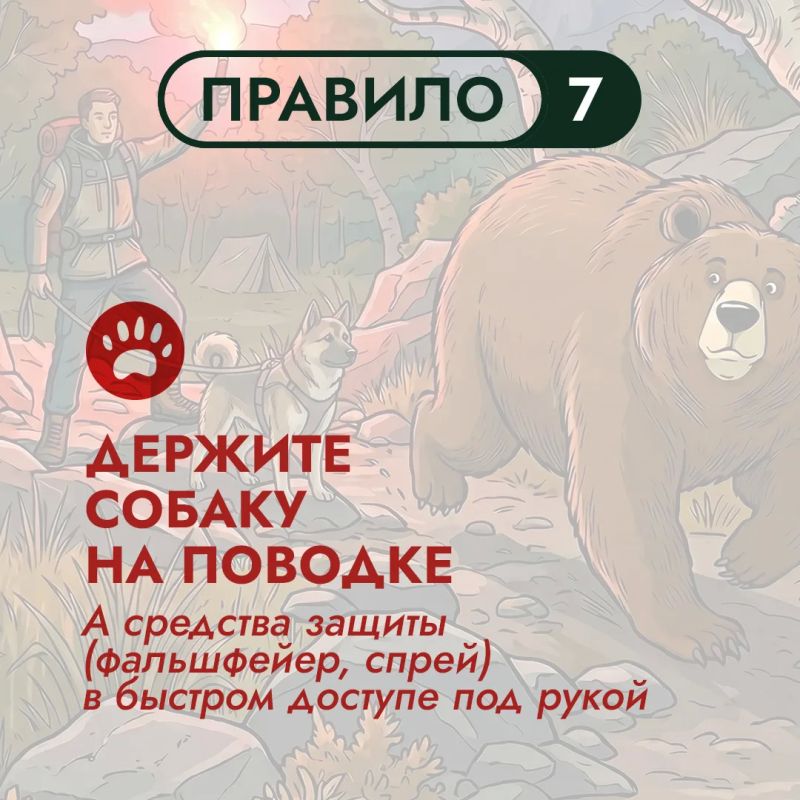 Сегодня природа дарит нам ещё один замечательный день, и, наверняка, многие изжителей острова отправятся на природу, чтобы полноценно отдохнуть перед трудовой неделей Сегодня природа дарит нам ещё один замечательный день, и, наверняка, многие изжителей острова отправятся на природу, чтобы полноценно отдохнуть перед трудовой неделей