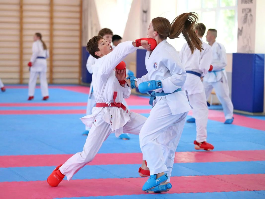 Чемпионат России по каратэ впервые пройдет на Сахалине Чемпионат России по каратэ впервые пройдет на Сахалине