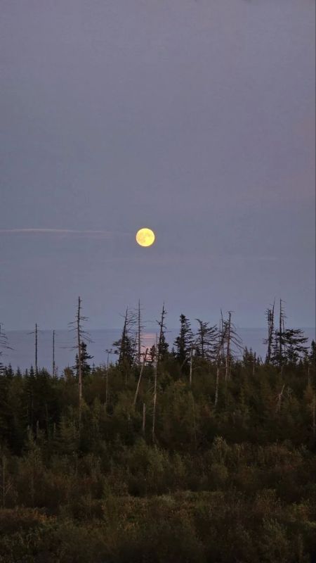 Такая разная Луна на Сахалине Такая разная Луна на Сахалине