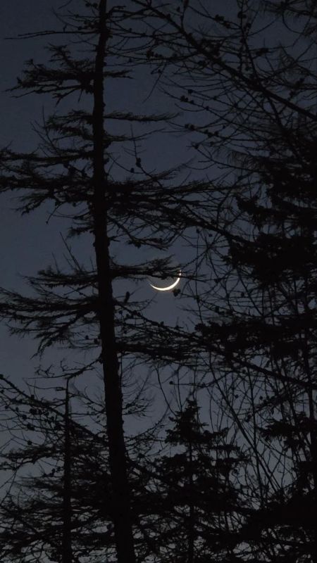 Такая разная Луна на Сахалине Такая разная Луна на Сахалине