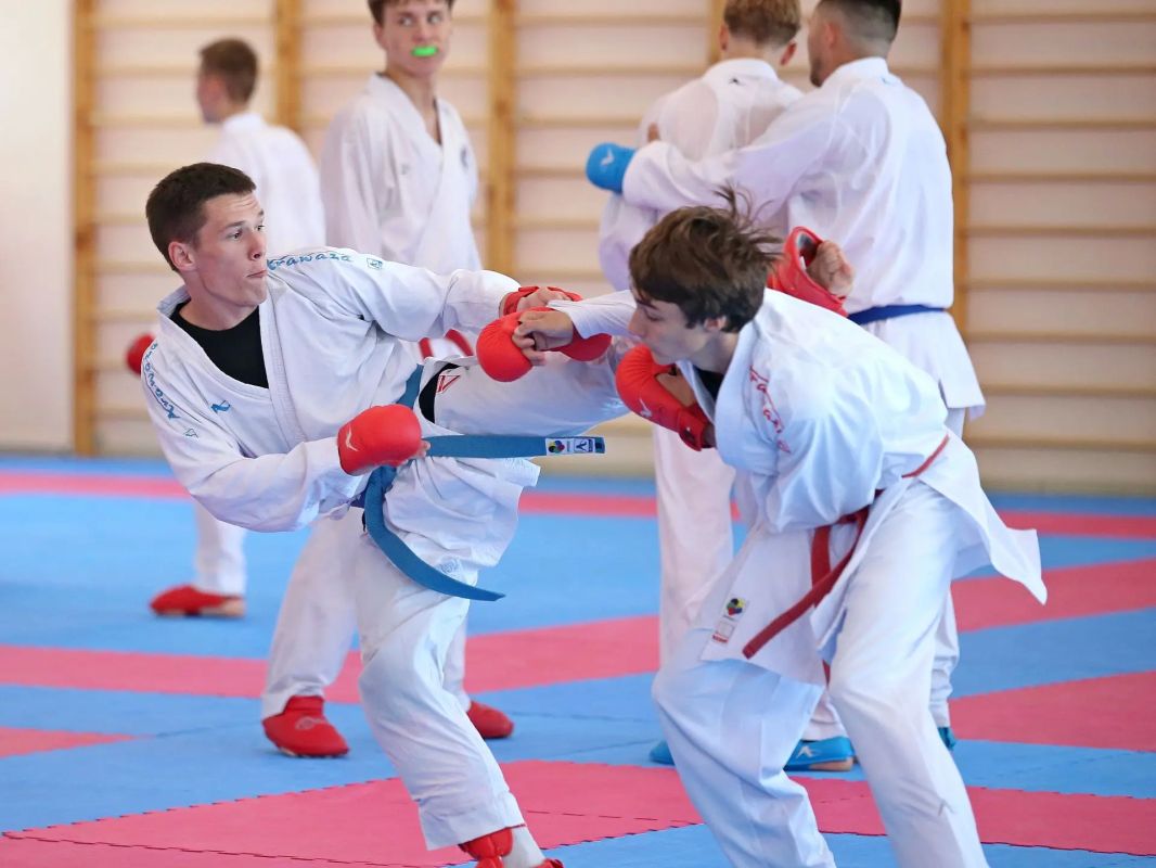 Чемпионат России по каратэ впервые пройдет на Сахалине Чемпионат России по каратэ впервые пройдет на Сахалине