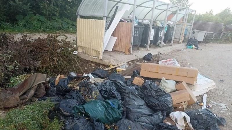 «Мы тонем в этой помойке»: Жители Южно-Сахалинска пожаловались на горы мусора