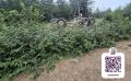 Из-за большегруза, вылетевшего на встречку, перевернулся самосвал в Ногликском районе