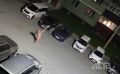 "�������, �������": � ������������ ��������� �� ����� ����� ����� �� ����� � ������ ������ � ������