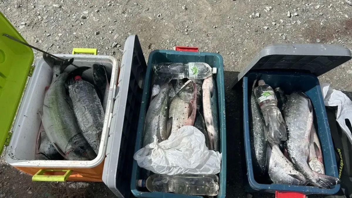 Корсаковские правоохранители провели рейд по пресечению незаконной добычи водно – биологических ресурсов Корсаковские правоохранители провели рейд по пресечению незаконной добычи водно – биологических ресурсов