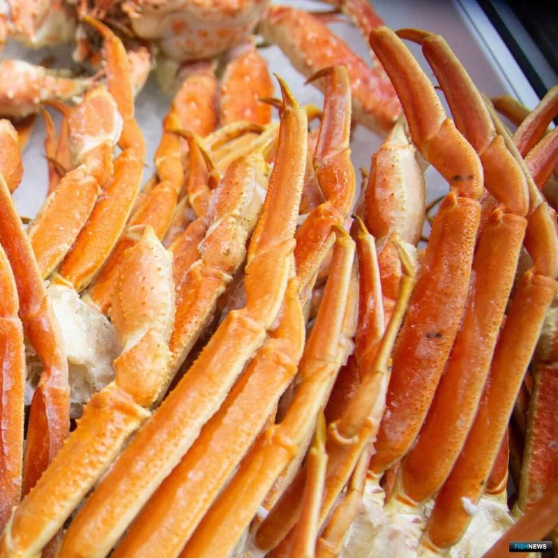 Расшифровку ДНК задействуют в борьбе с подменой морепродуктов