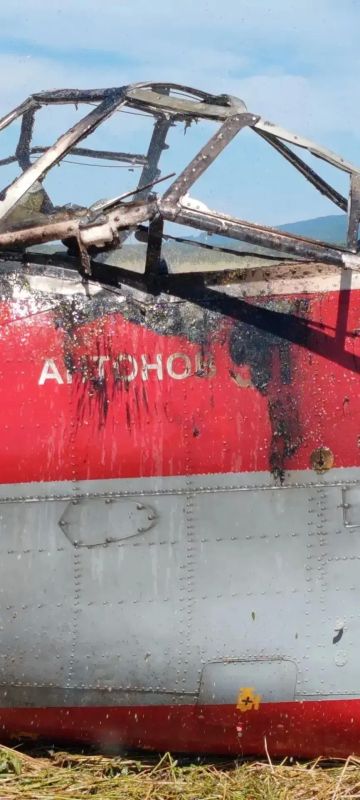 Пожарные прибыли на место в 12:28 и сразу приступили к локализации пожара Пожарные прибыли на место в 12:28 и сразу приступили к локализации пожара