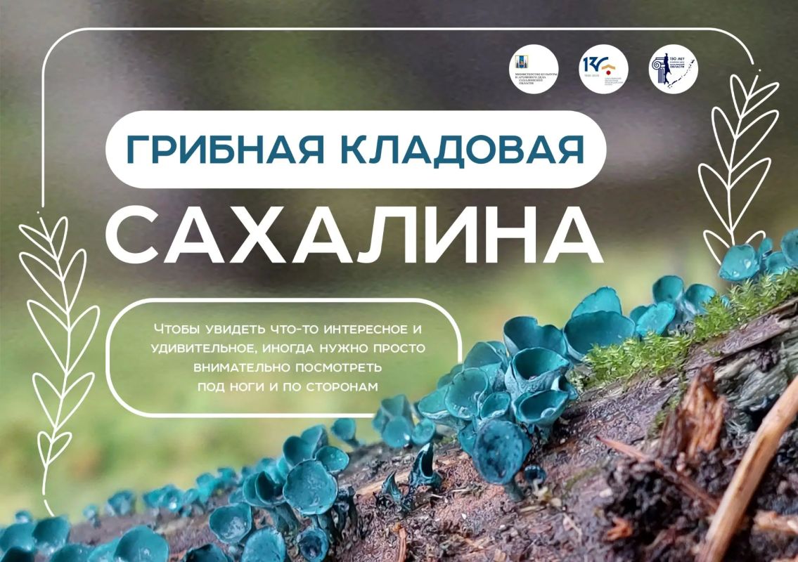 «Грибная кладовая Сахалина»