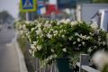 Доброе утро, Южный!. Последний рабочий день недели начался свежо – по состоянию на 09:00 воздух прогрелся до +17°C