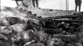 Нанкинская резня 1937 года: шесть недель ада, 300 тысяч жертв и забытый холокост Второй мировой