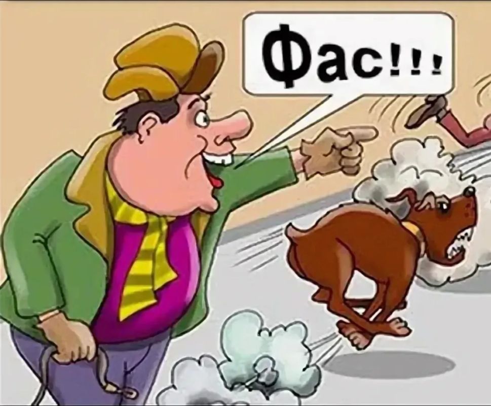 Михаил Онуфриенко: ФАС выдала предупреждения заправкам в Херсонской, Сахалинской, Тюменской и Тверской областях за завышенные цены на бензин