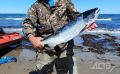 На Сахалине выделили 7 участков для любительского лова кеты и кижуча