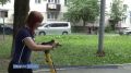 � ����-���������� ���������������� ��������� � ������� ���������� ��������� ������������ � ��������������� ������������� �������� ������� ����, ������������ �� ���������� ��������� ������ ������������� �������...