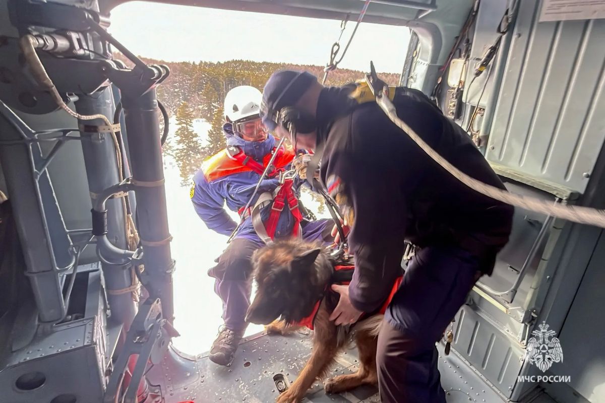 Особая чрезвычайная связь. В День благодарности собаке расскажем историю кинолога Валерия Соловьева из поисково-спасательного отряда им. В.А Особая чрезвычайная связь. В День благодарности собаке расскажем историю кинолога Валерия Соловьева из поисково-спасательного отряда им. В.А
