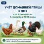 Владельцев ЛПХ обязали поставить домашнюю птицу на ветеринарный учёт до сентября